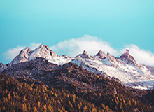 开云账号注册-九游体育官方网站：开启专业、安全、充满激情的体育新体验